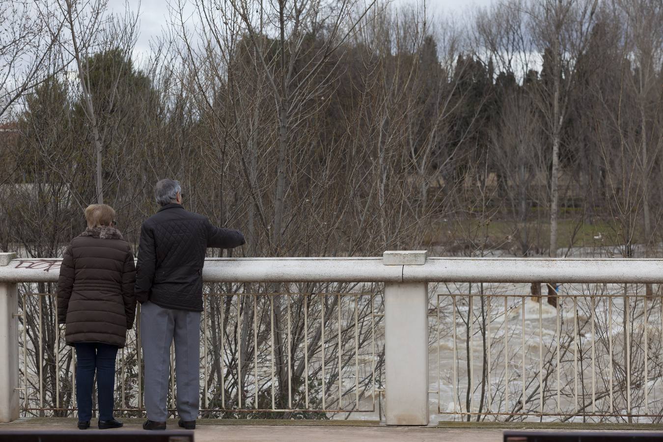 El Ebro amenaza Logroño