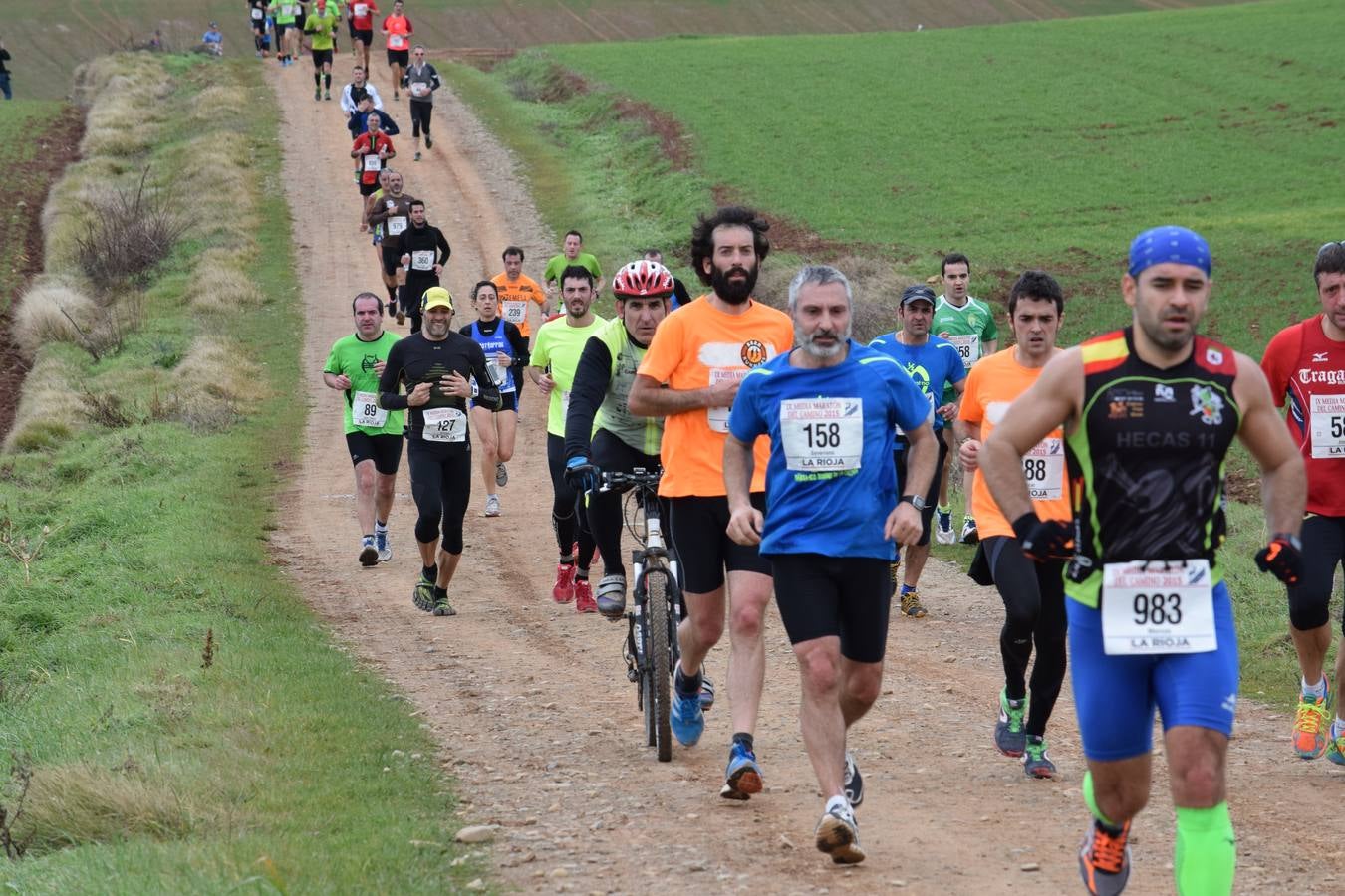 Media Maratón del Camino (III)