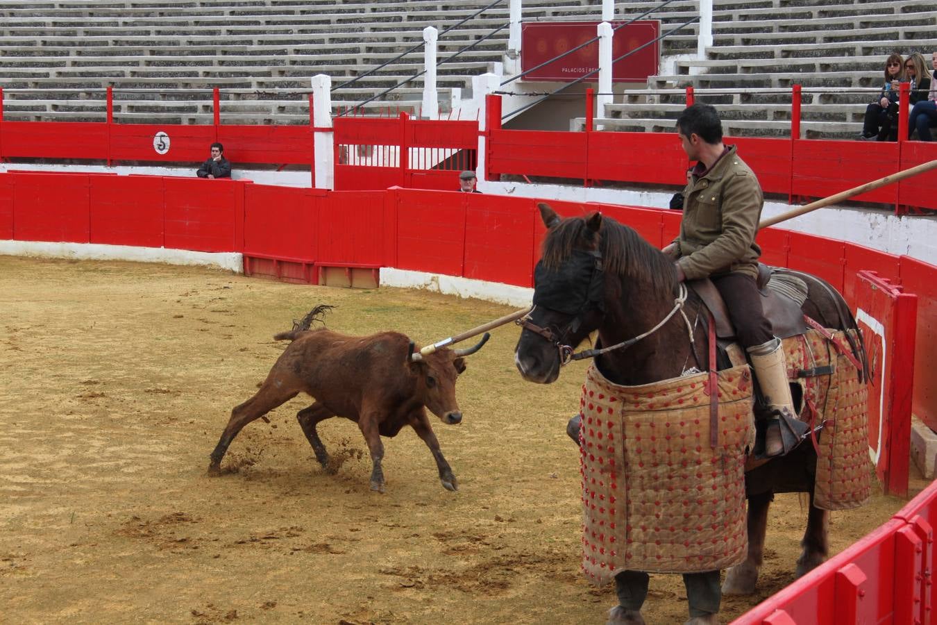 Tentadero de vacas en Alfaro