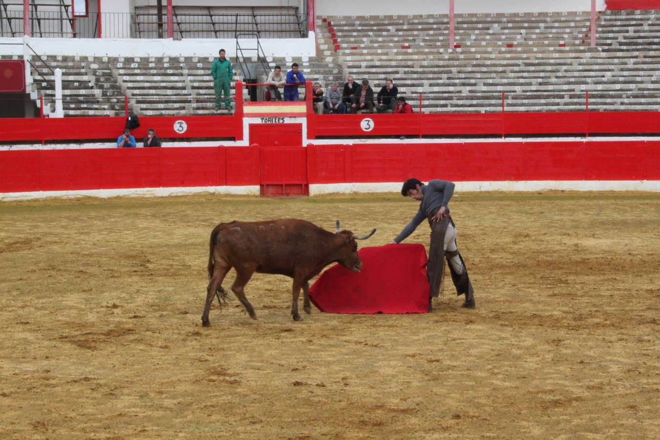 Tentadero de vacas en Alfaro