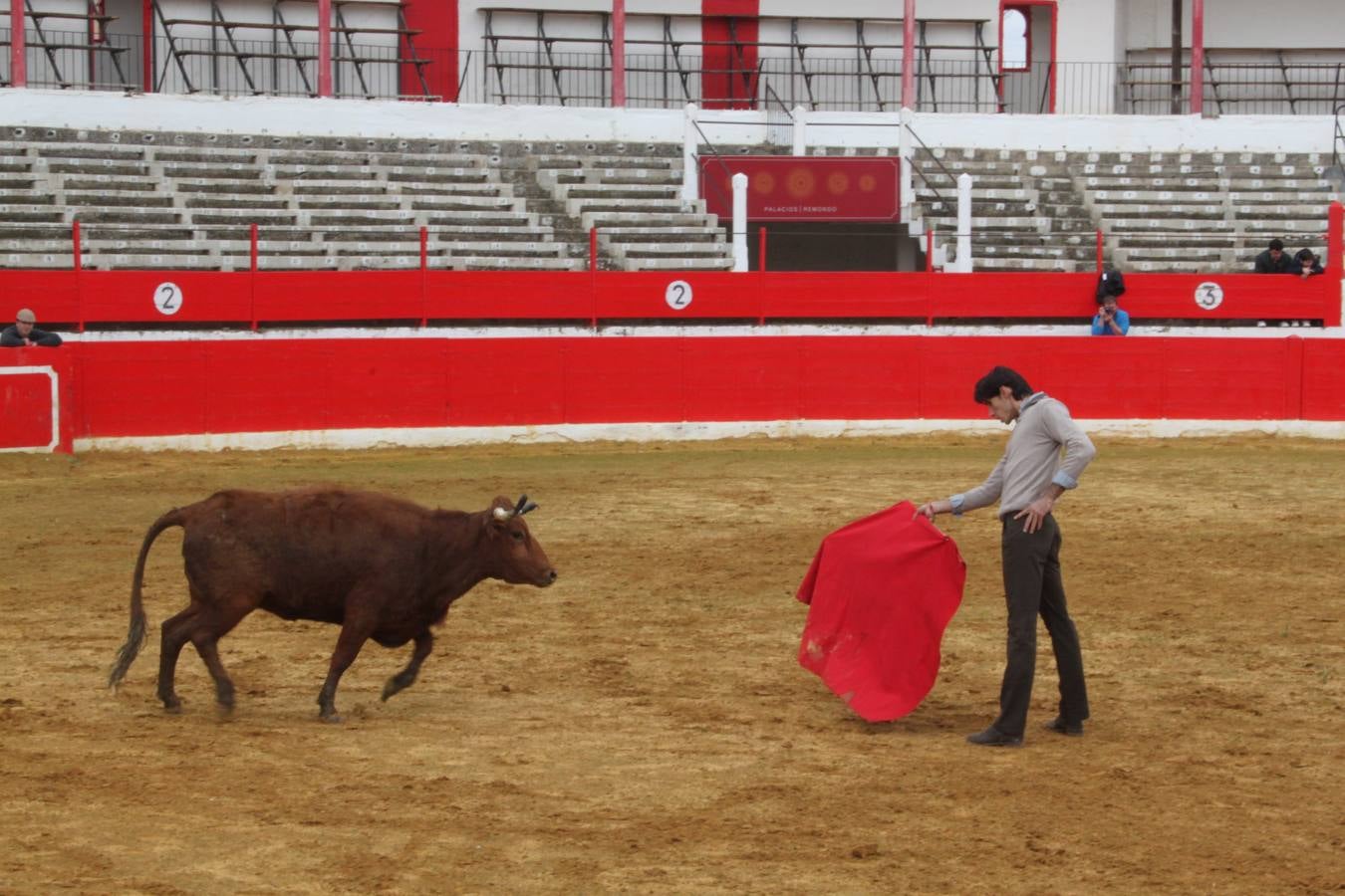 Tentadero de vacas en Alfaro