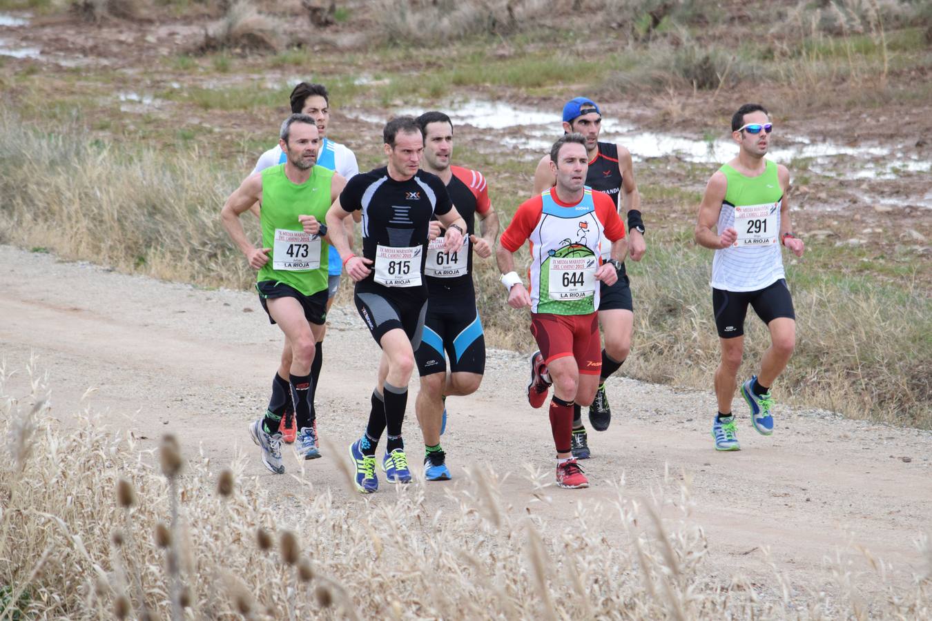 Alberto Alba gana la Media IX Maratón del Camino (I)