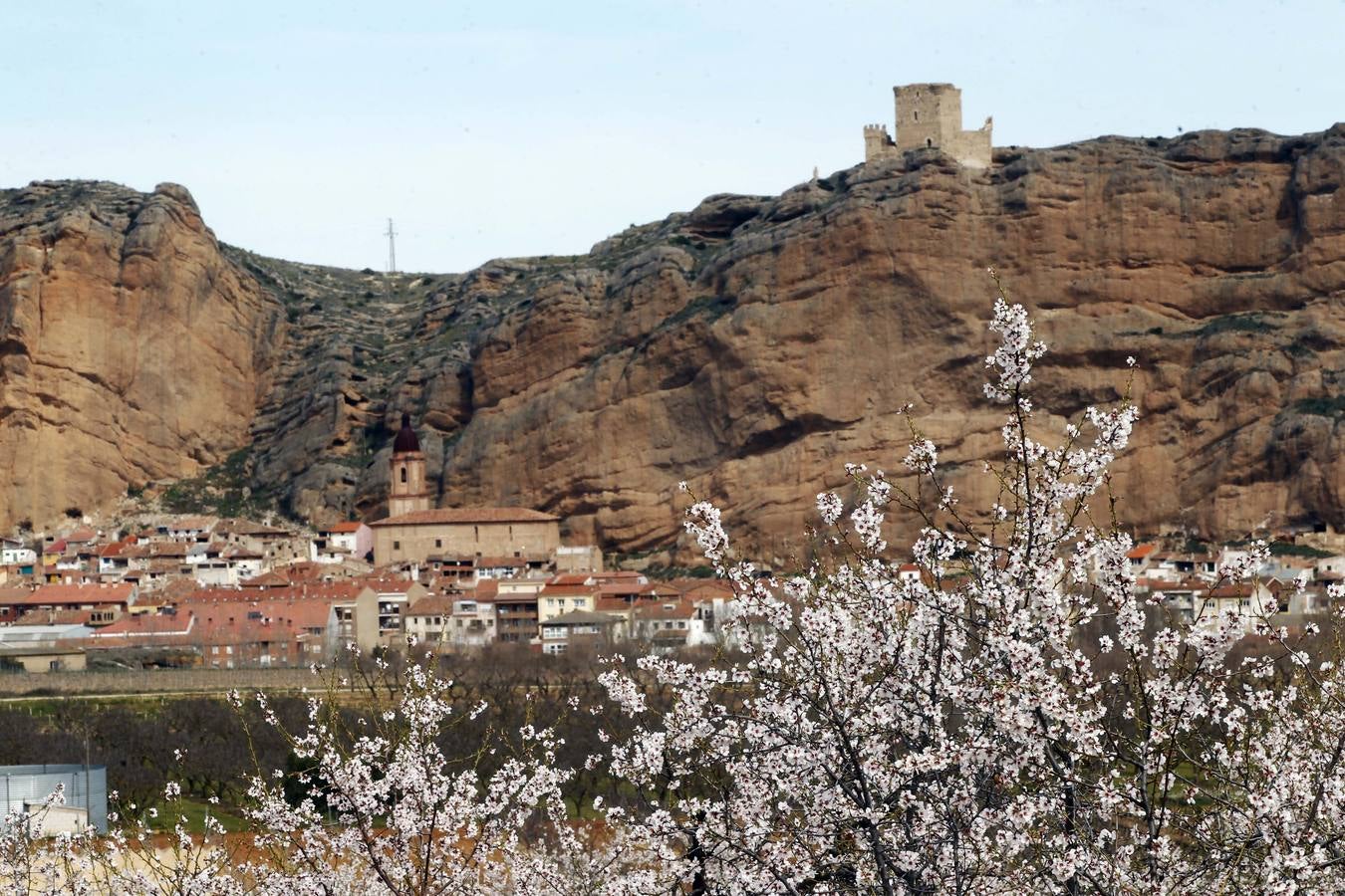 Los árboles tienen ganas de dar carpetazo al invierno