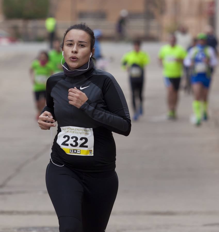 Carrera enoturística en Aldeanueva de Ebro