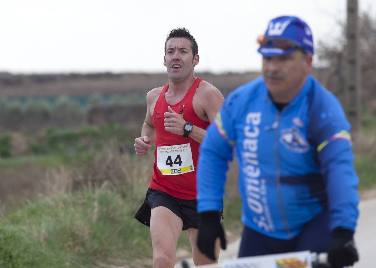 Carrera enoturística en Aldeanueva de Ebro