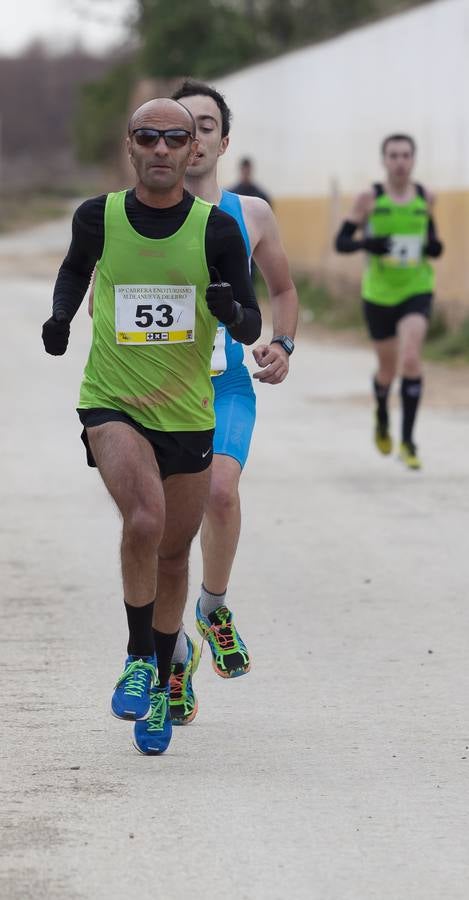 Carrera enoturística en Aldeanueva de Ebro