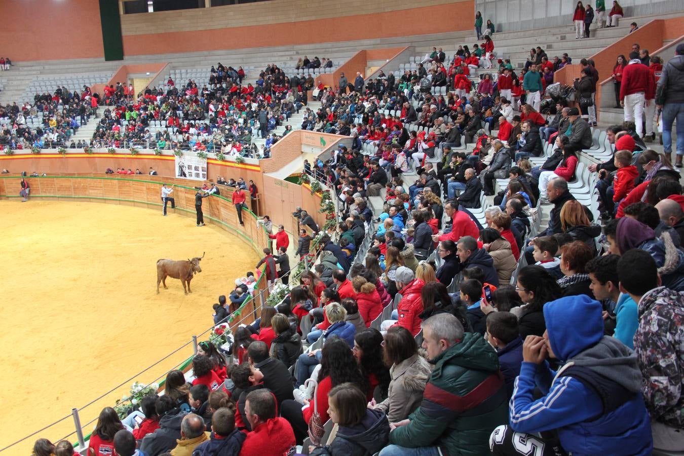 Novillada y vaquillas en Arnedo