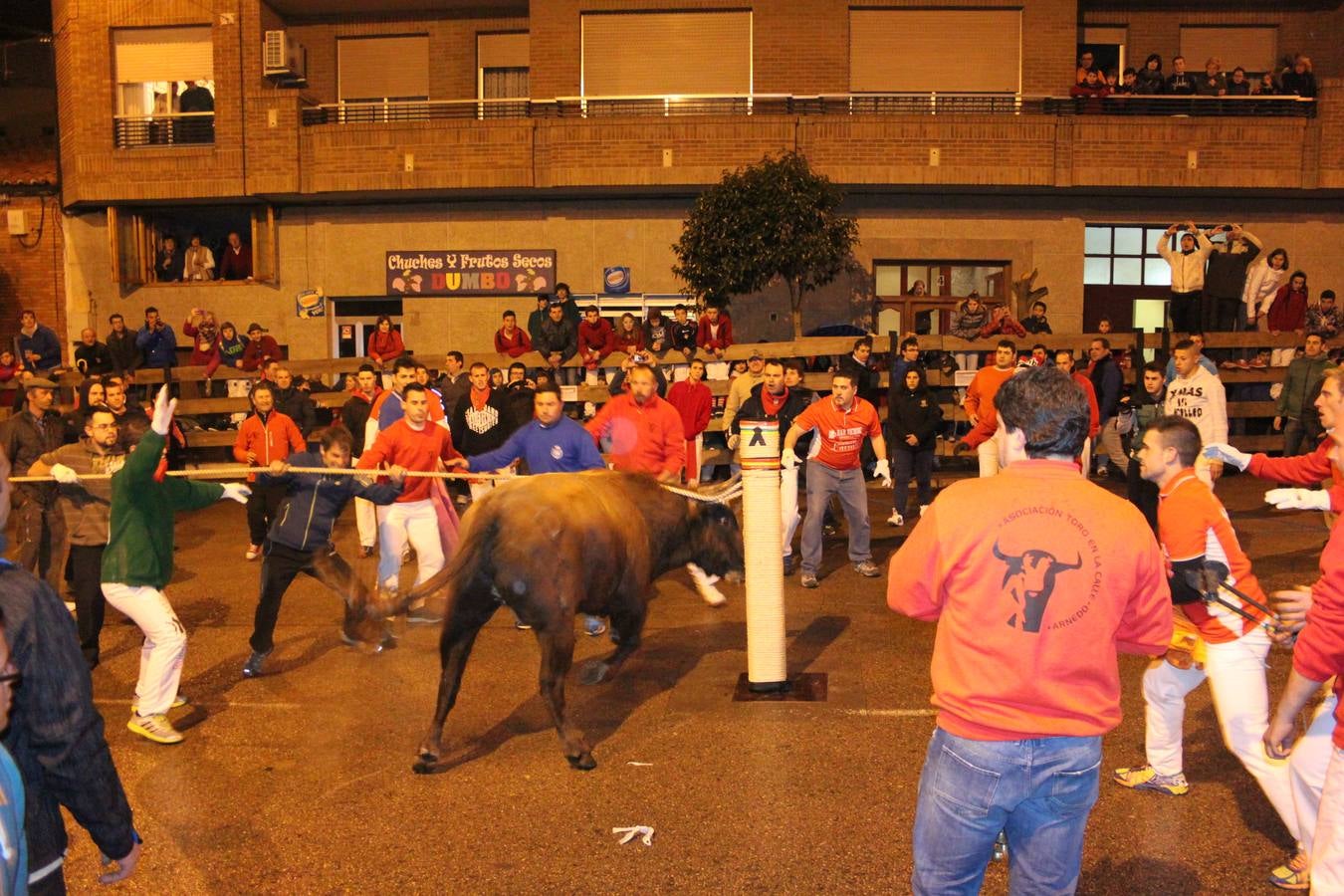 Novillada y vaquillas en Arnedo