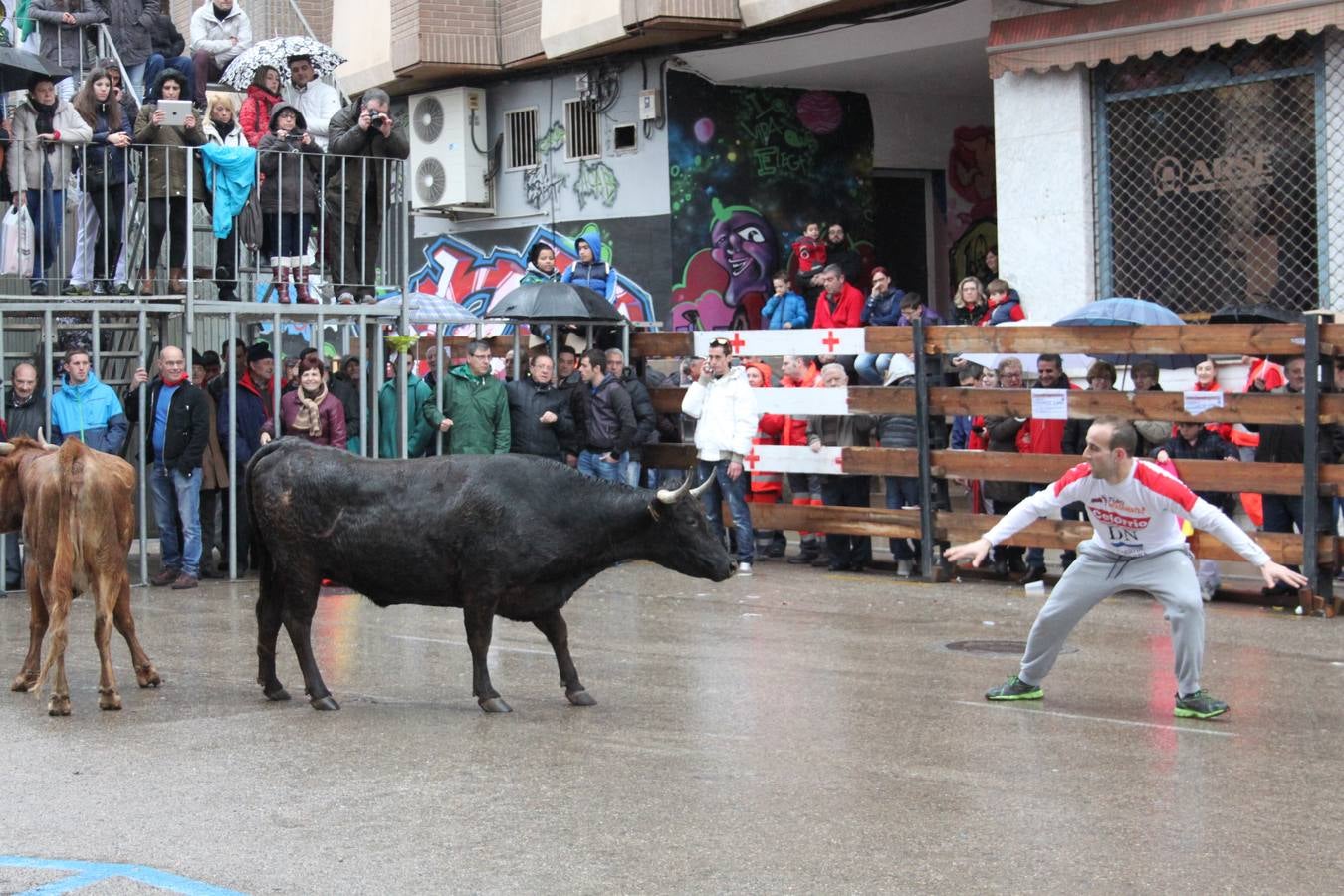 Novillada y vaquillas en Arnedo