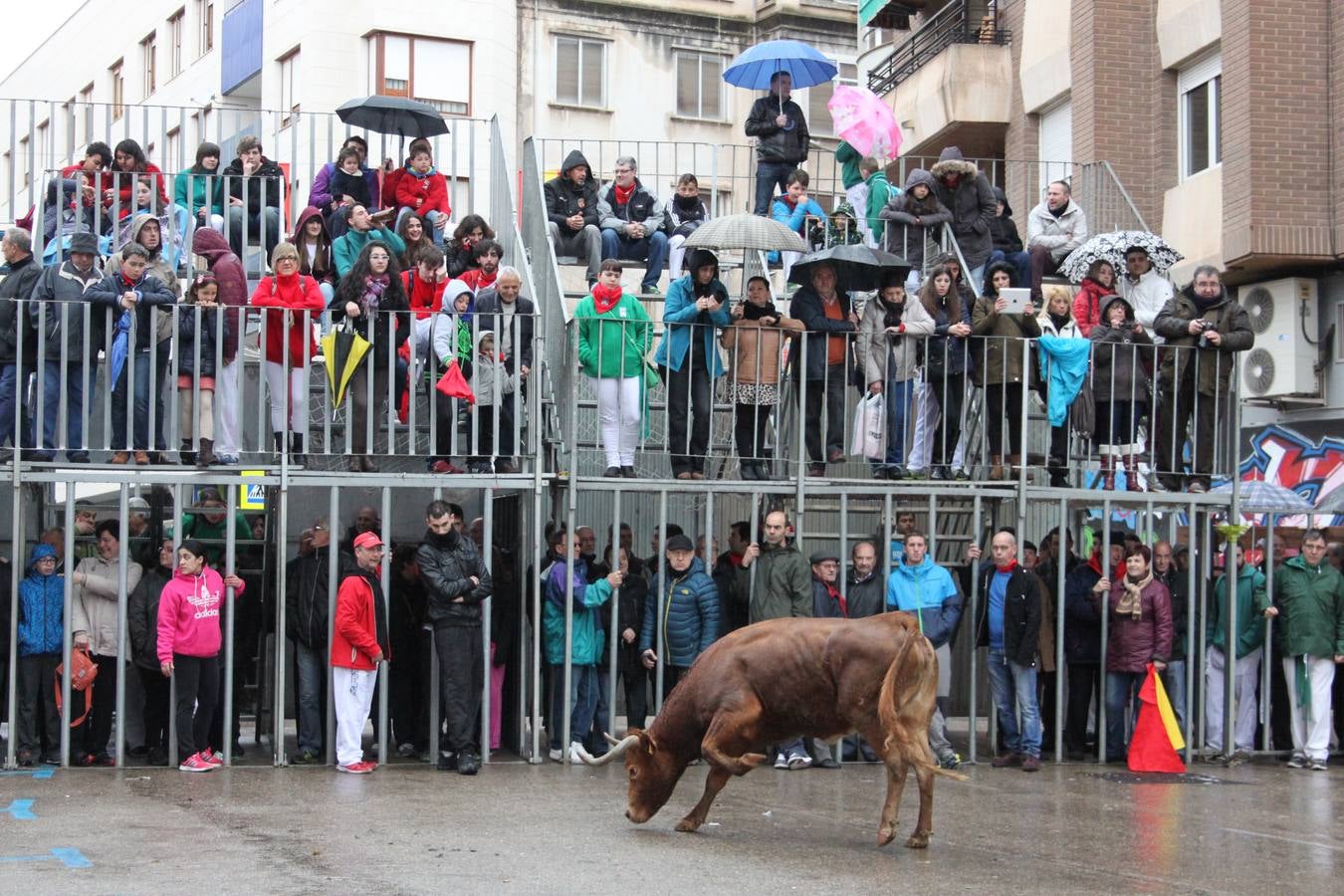 Novillada y vaquillas en Arnedo