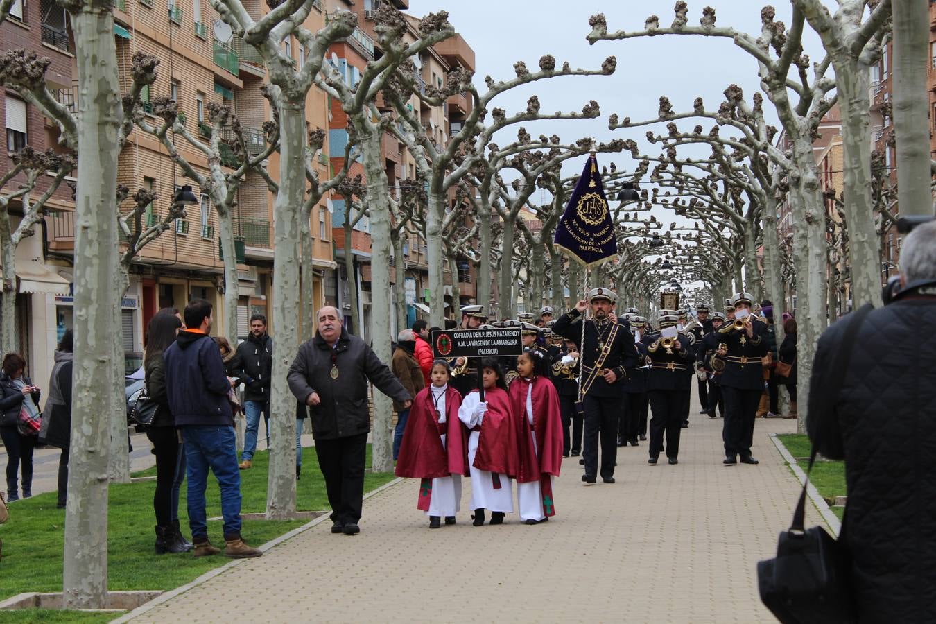 La Concentración de Bandas y Tambores de Calahorra