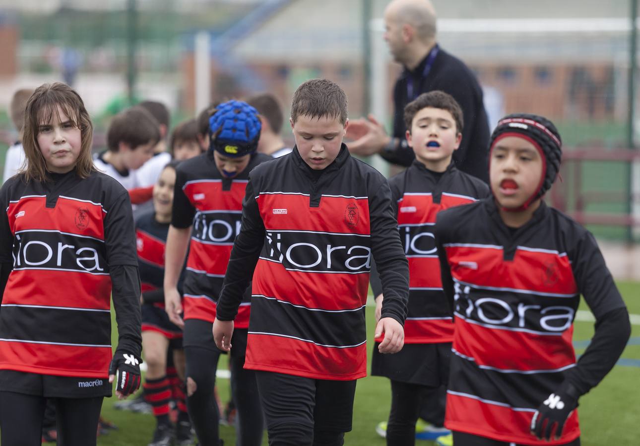 El rugby riojano está de estreno (I)