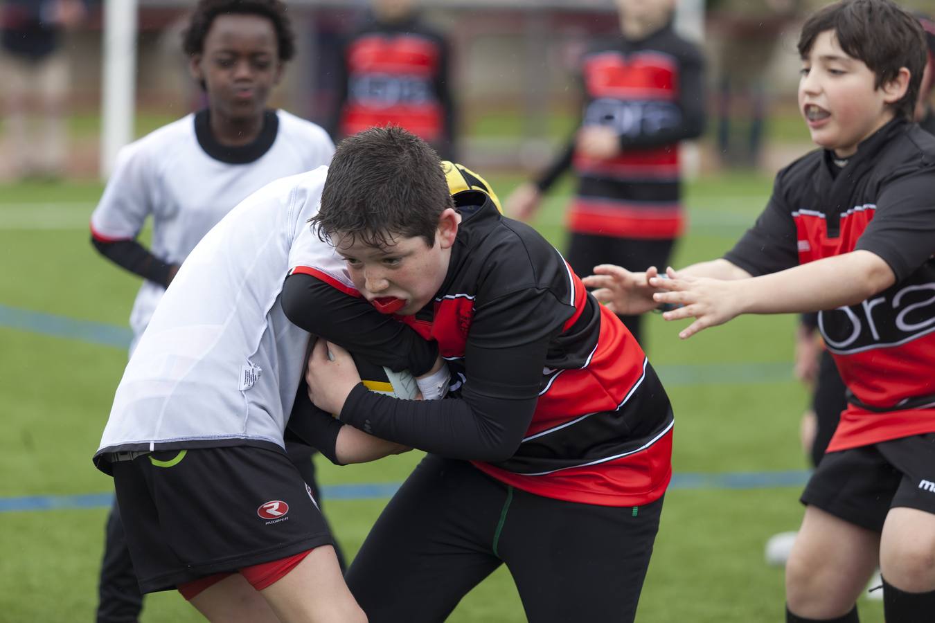 El rugby riojano está de estreno (I)