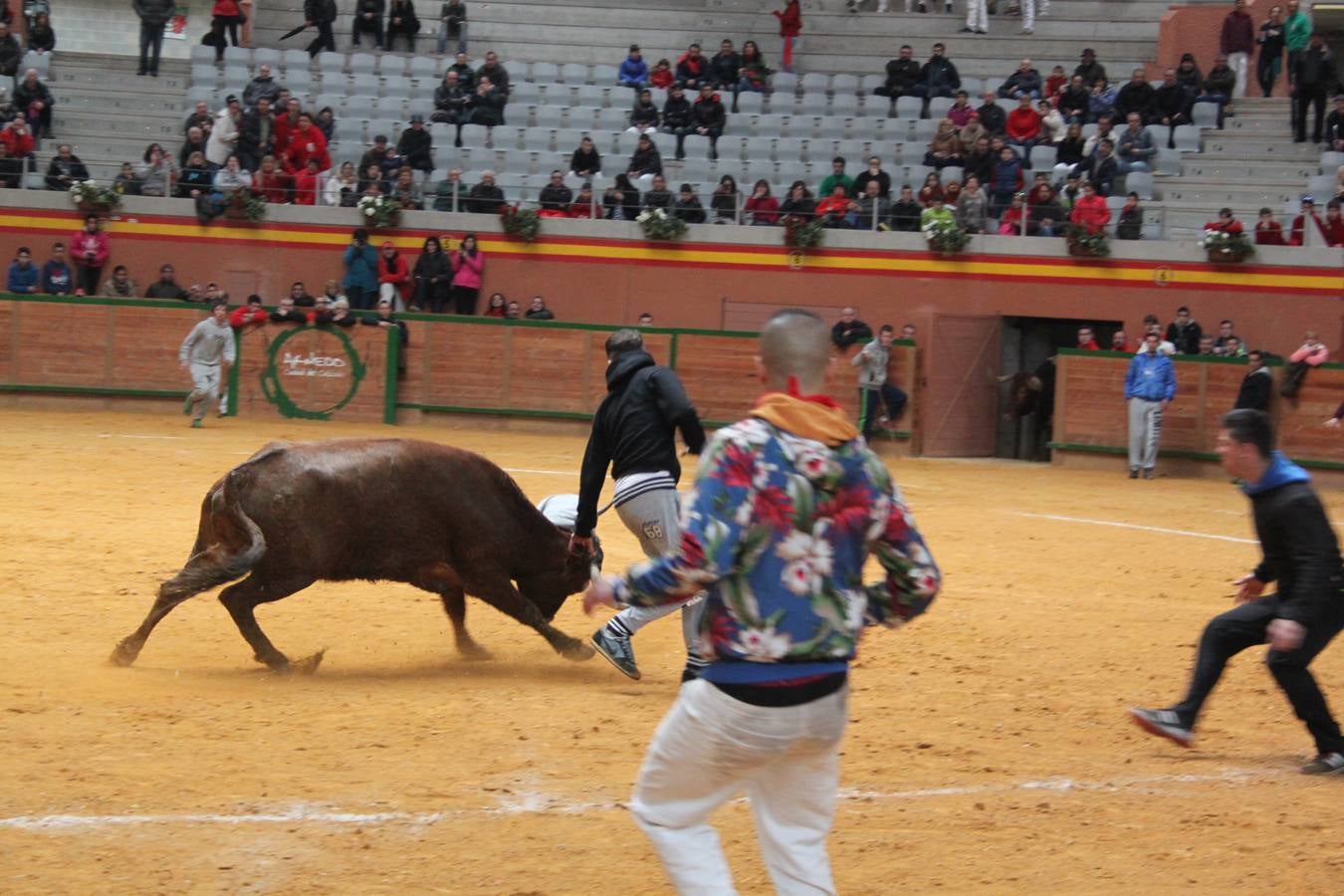 Último día de fiestas de Arnedo