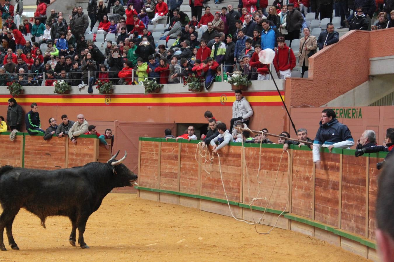 Último día de fiestas de Arnedo