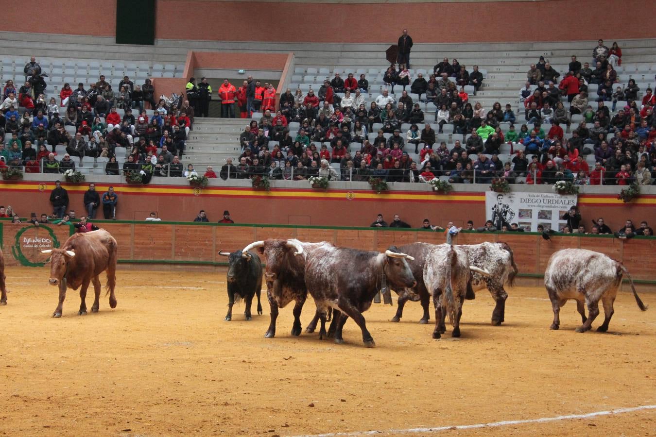 Último día de fiestas de Arnedo