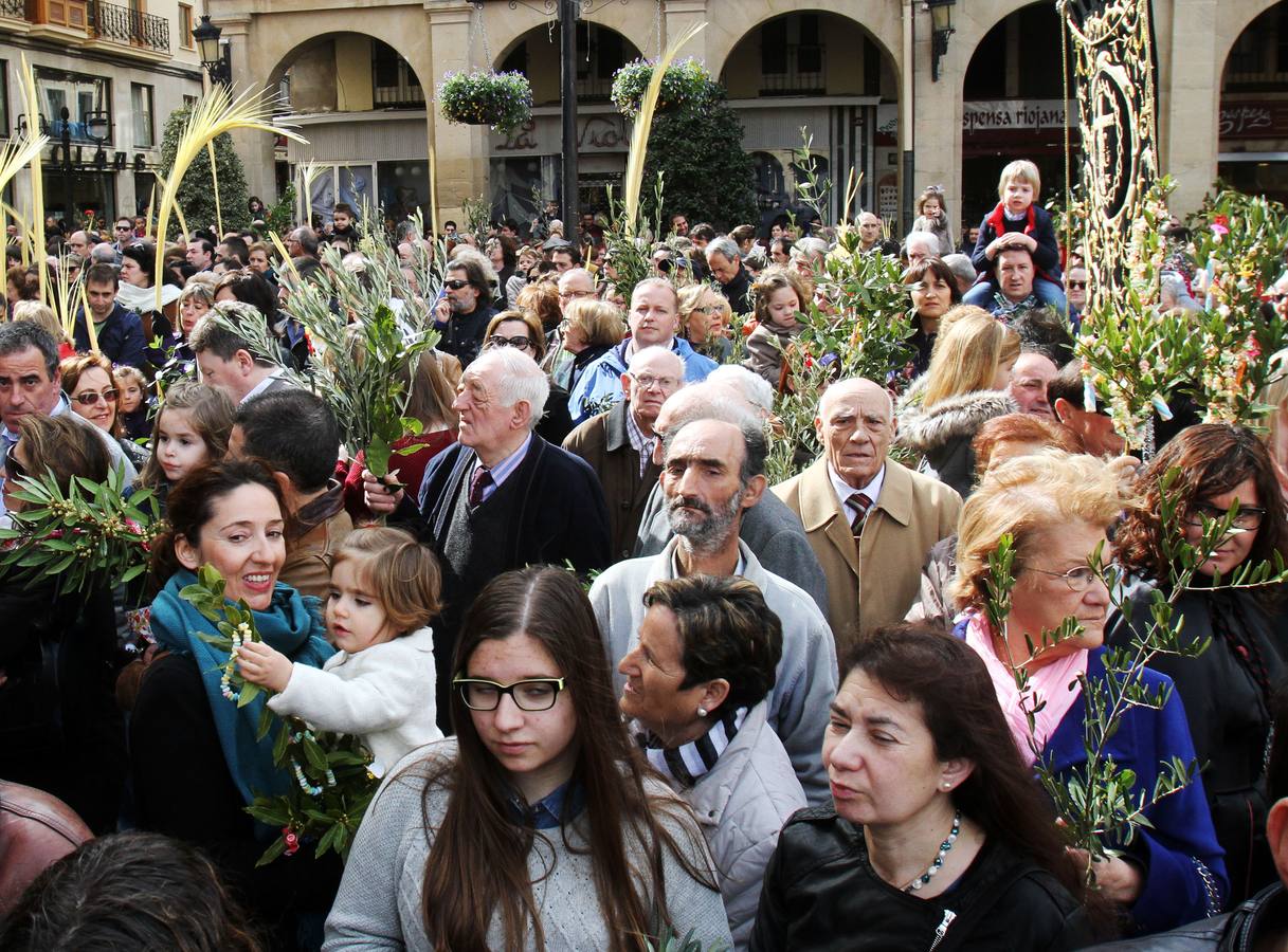 Domingo de Ramos en Logroño