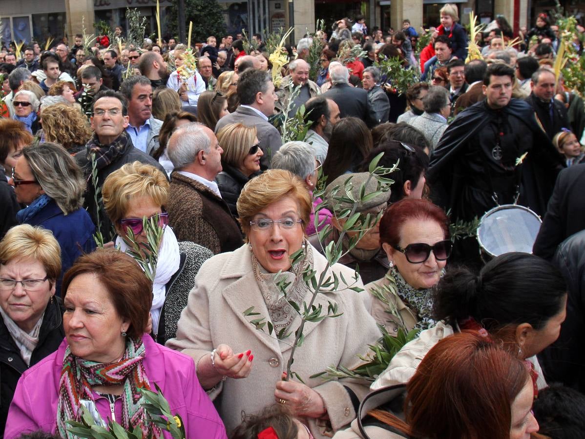 Domingo de Ramos en Logroño