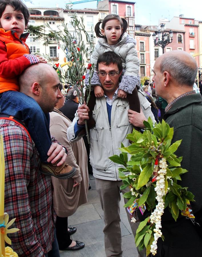 Domingo de Ramos en Logroño