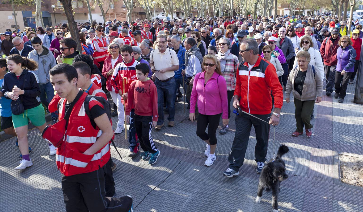 Éxito del segundo paseo saludable de la temporada