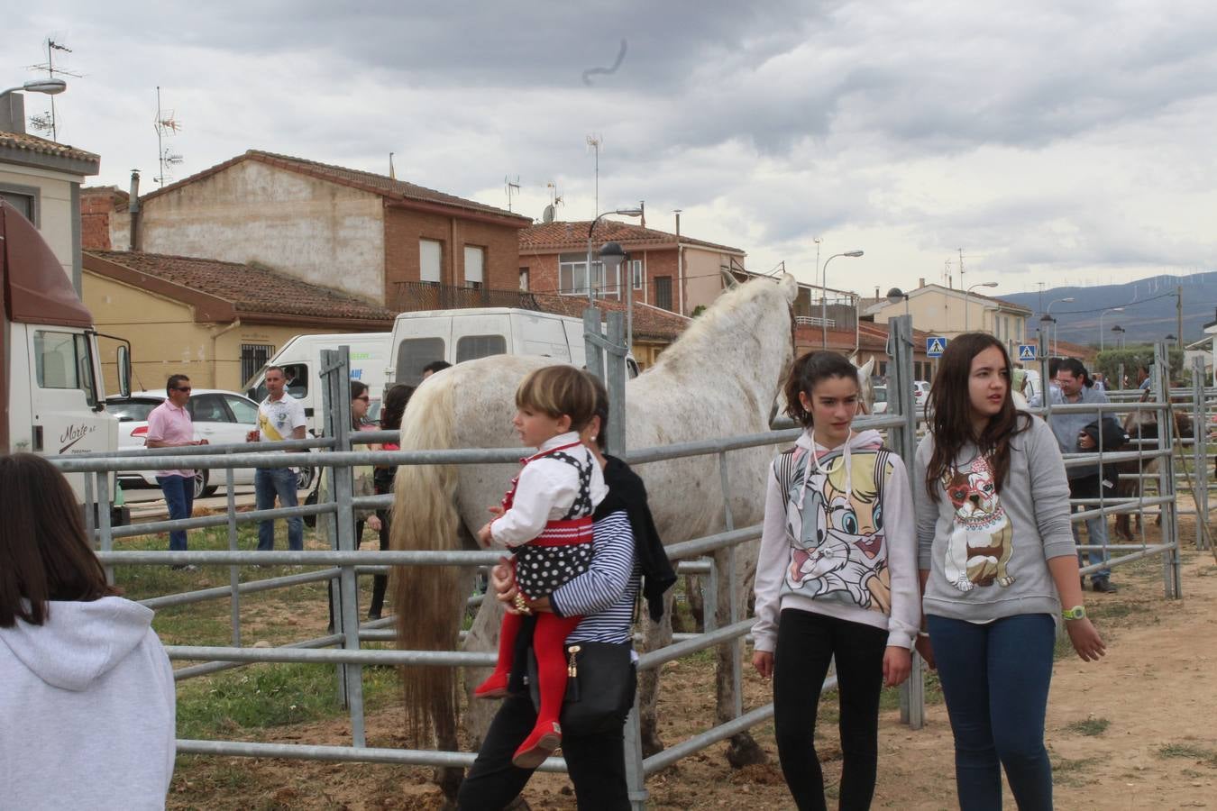 Feria del ganado en Rincón de Soto (I)