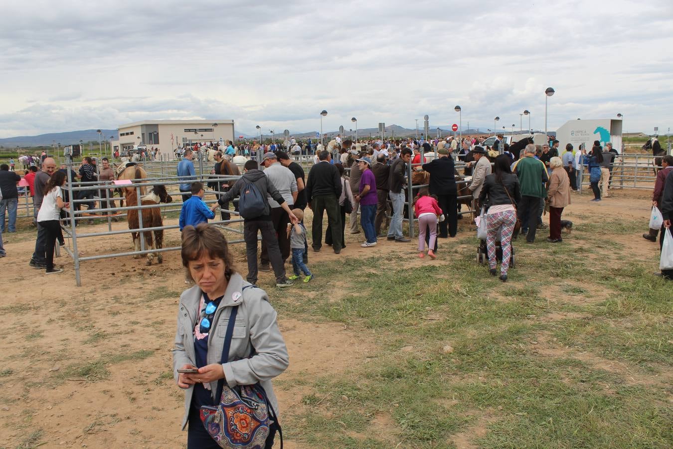 Feria del ganado en Rincón de Soto (I)