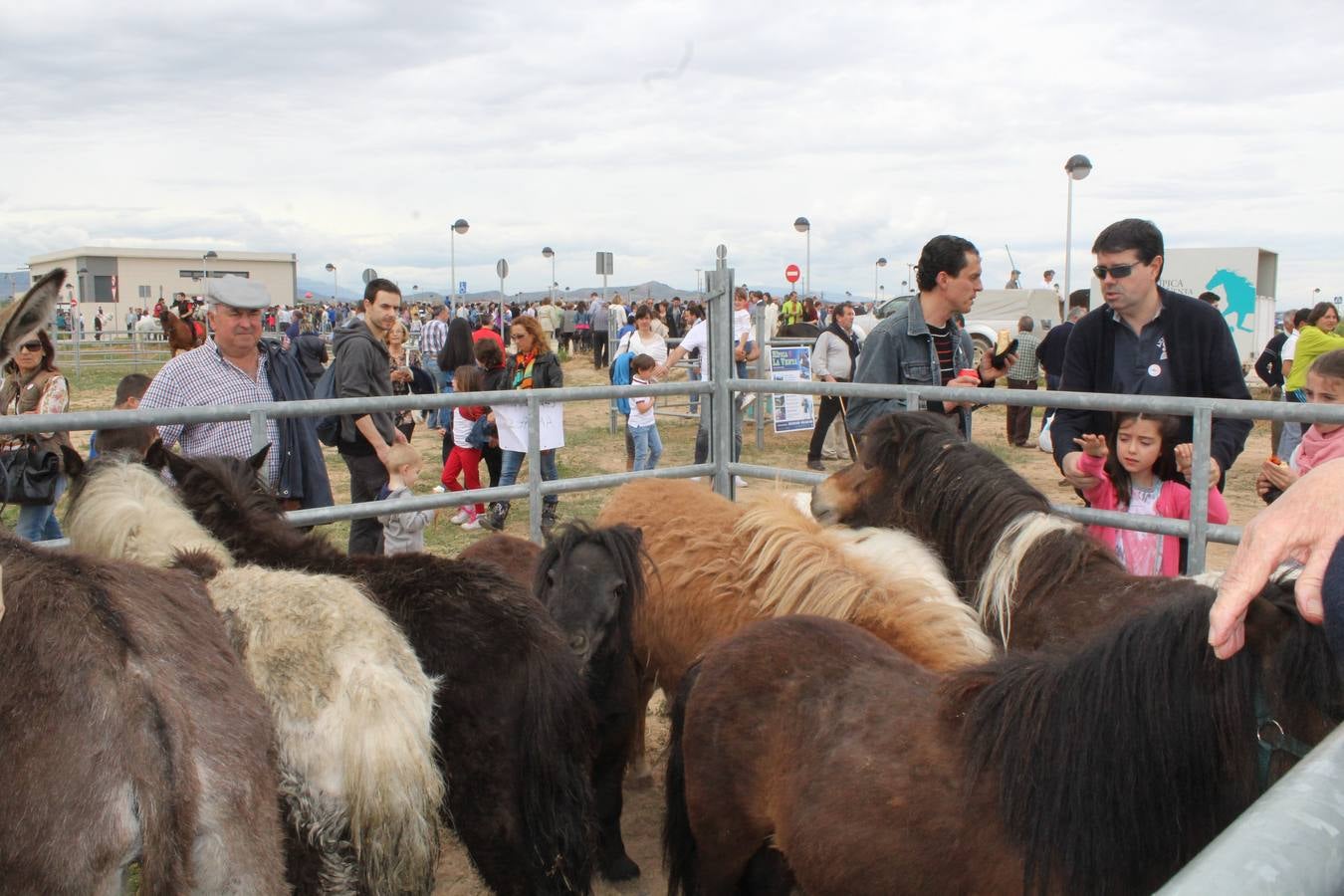 Feria del ganado en Rincón de Soto (I)