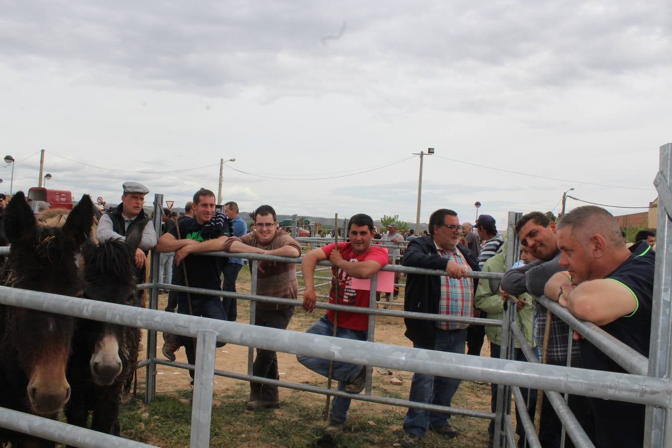 Feria del ganado en Rincón de Soto (I)