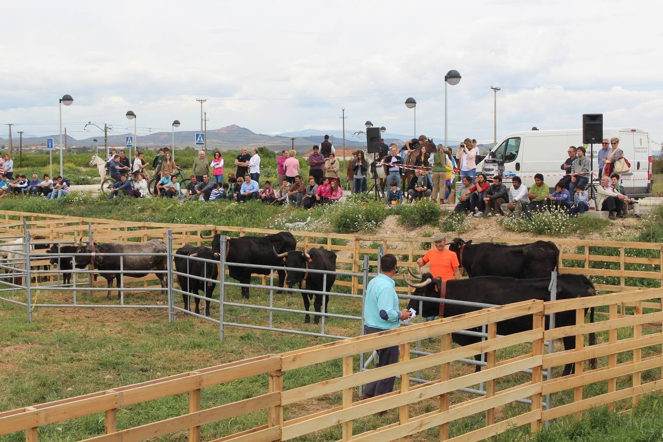 Feria del ganado en Rincón de Soto (I)