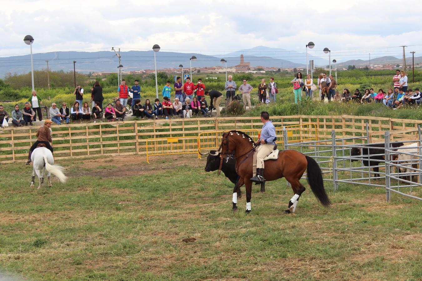 Feria del ganado en Rincón de Soto (I)