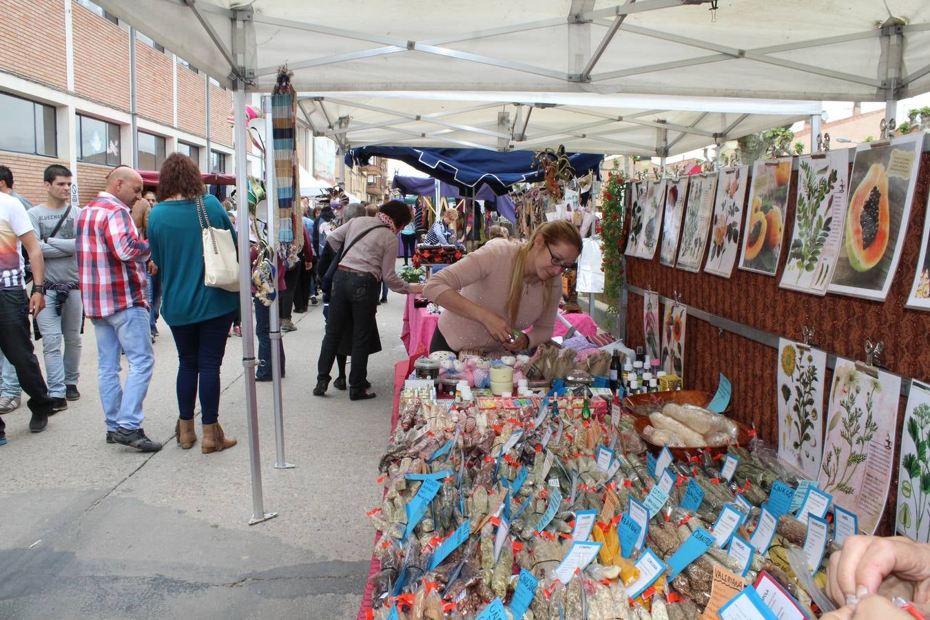 Feria del ganado en Rincón de Soto (I)