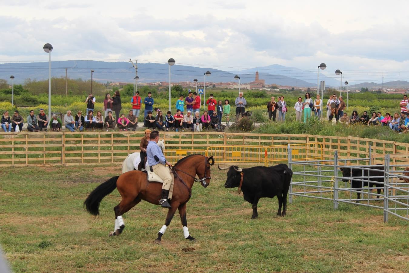 Feria del ganado de Rincón de Soto (II)