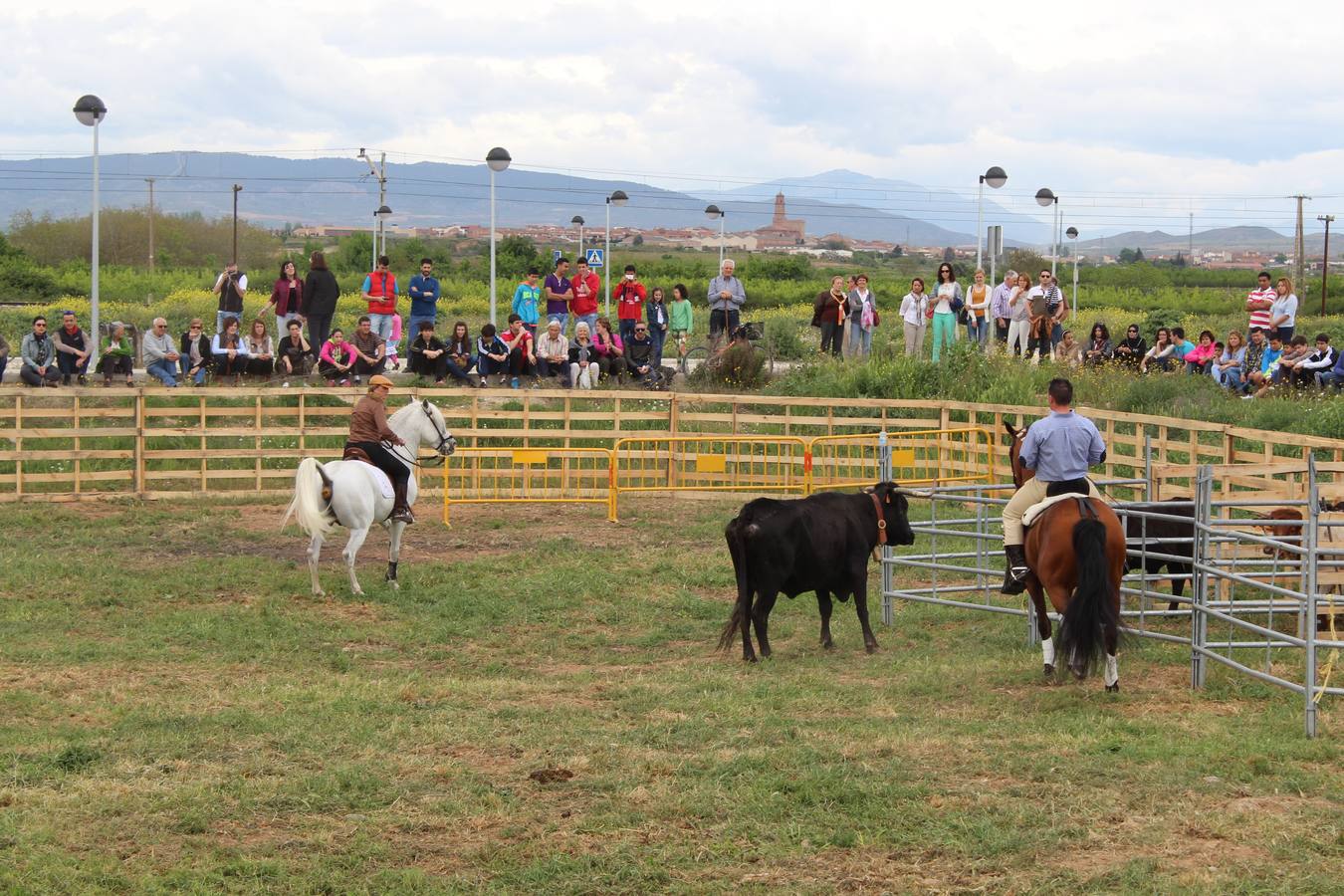 Feria del ganado de Rincón de Soto (II)