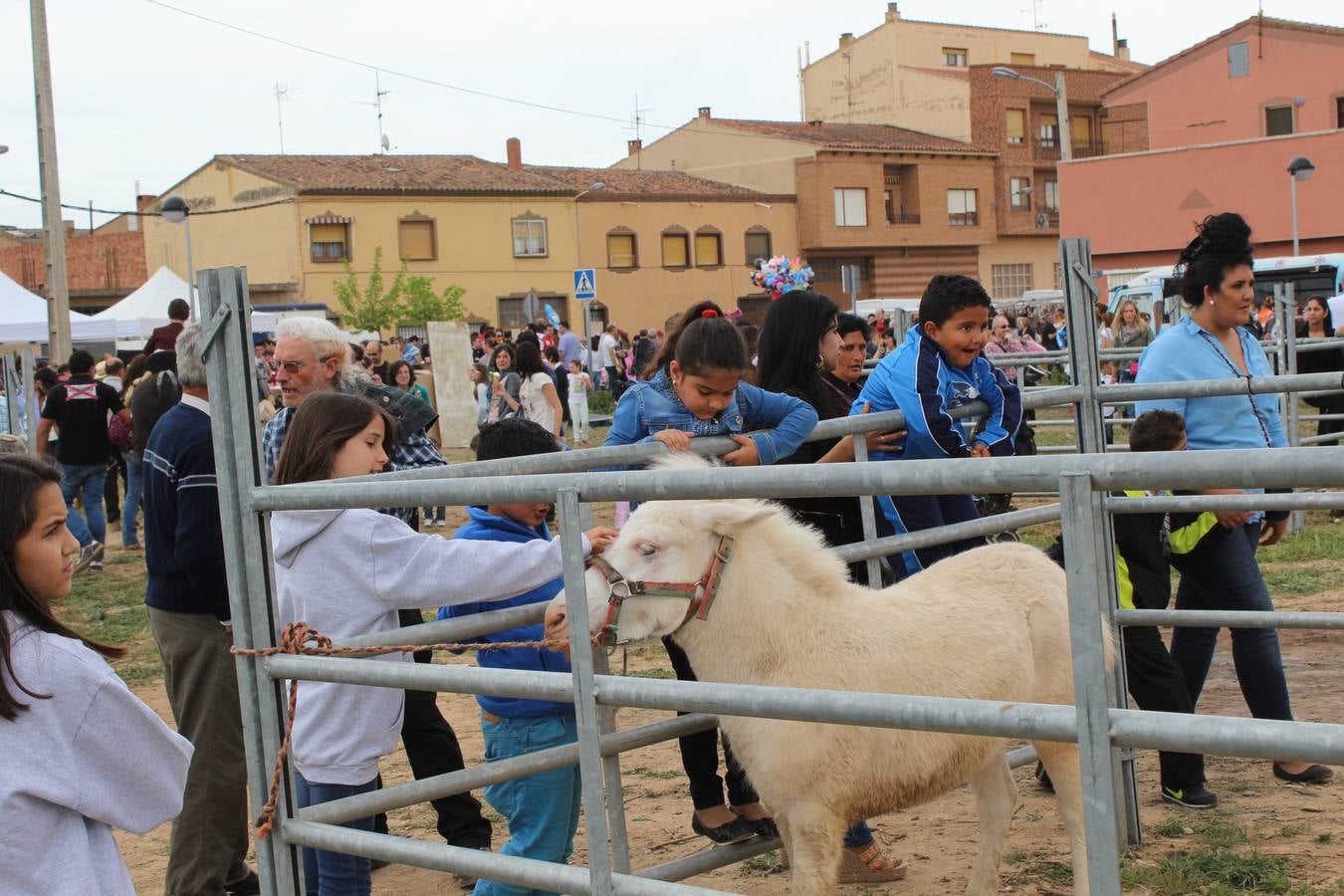 Feria del ganado de Rincón de Soto (II)