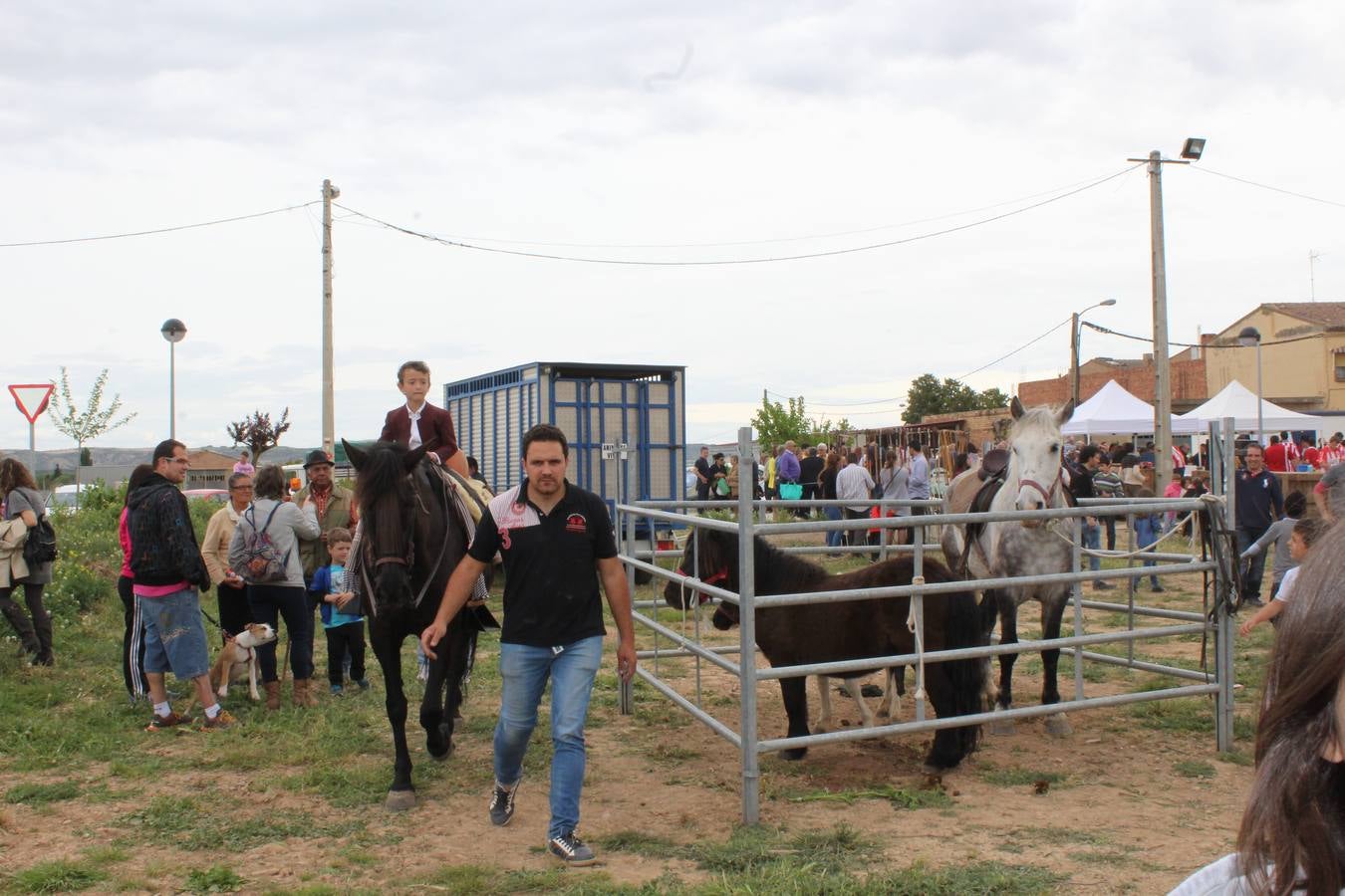 Feria del ganado de Rincón de Soto (II)