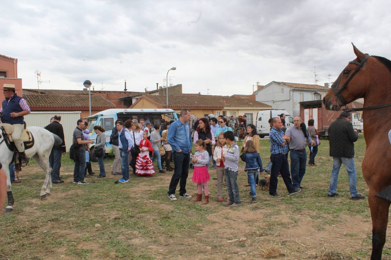 Feria del ganado de Rincón de Soto (II)