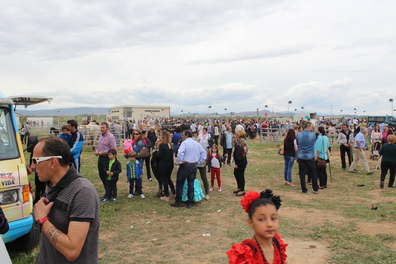 Feria del ganado de Rincón de Soto (II)