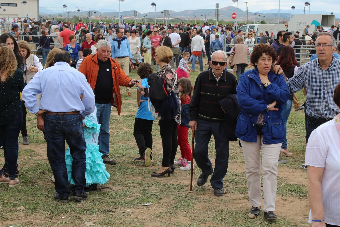 Feria del ganado de Rincón de Soto (II)