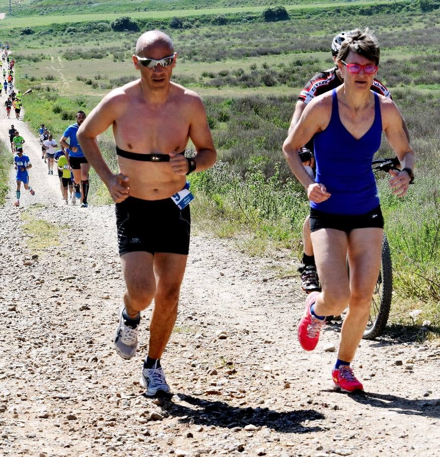 Carrera El Arco: Adultos