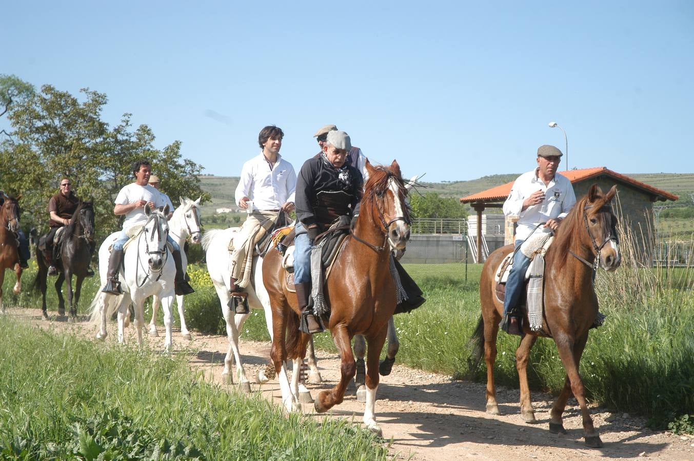 Caballos, carros y rebujito