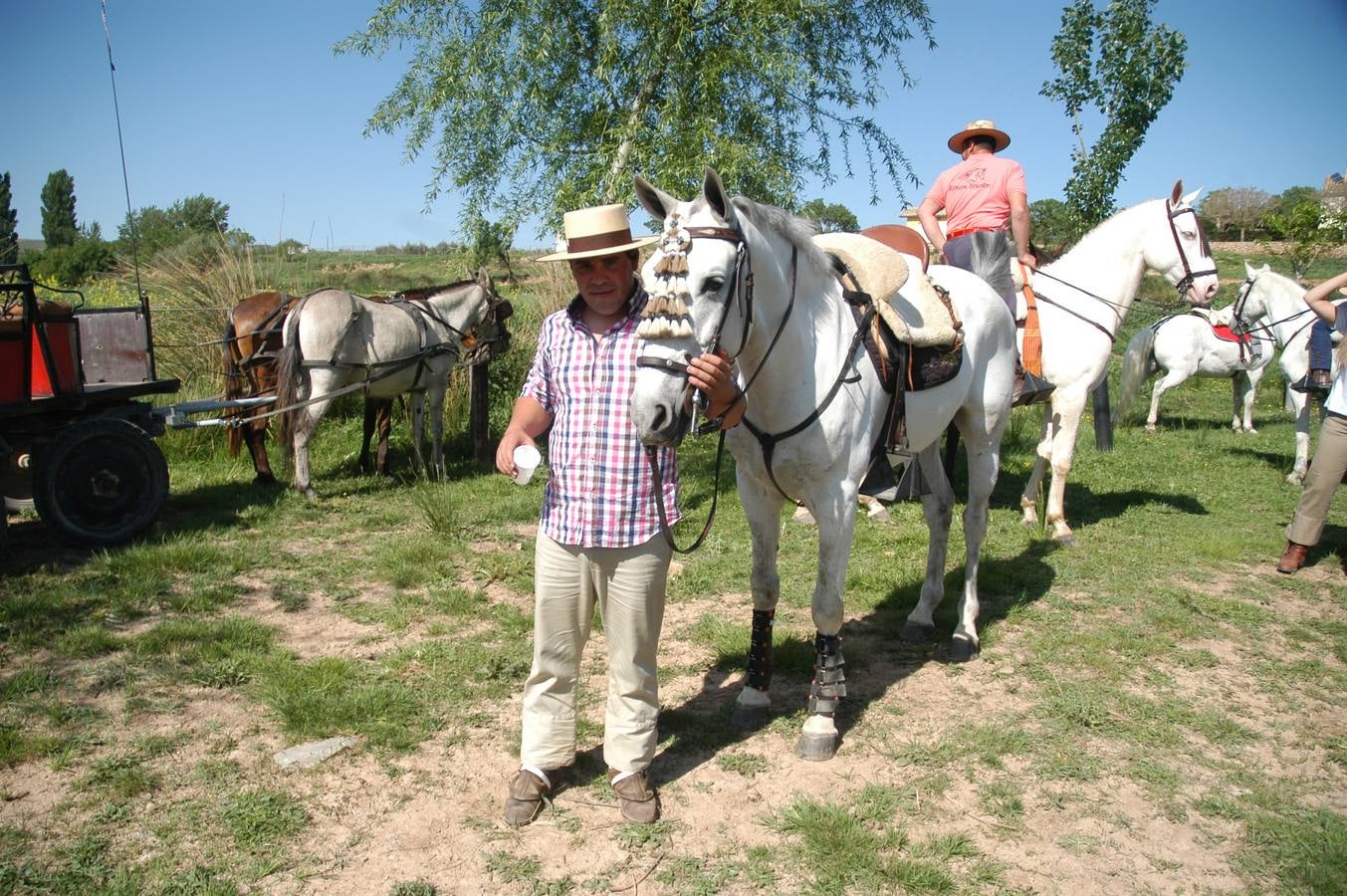 Caballos, carros y rebujito