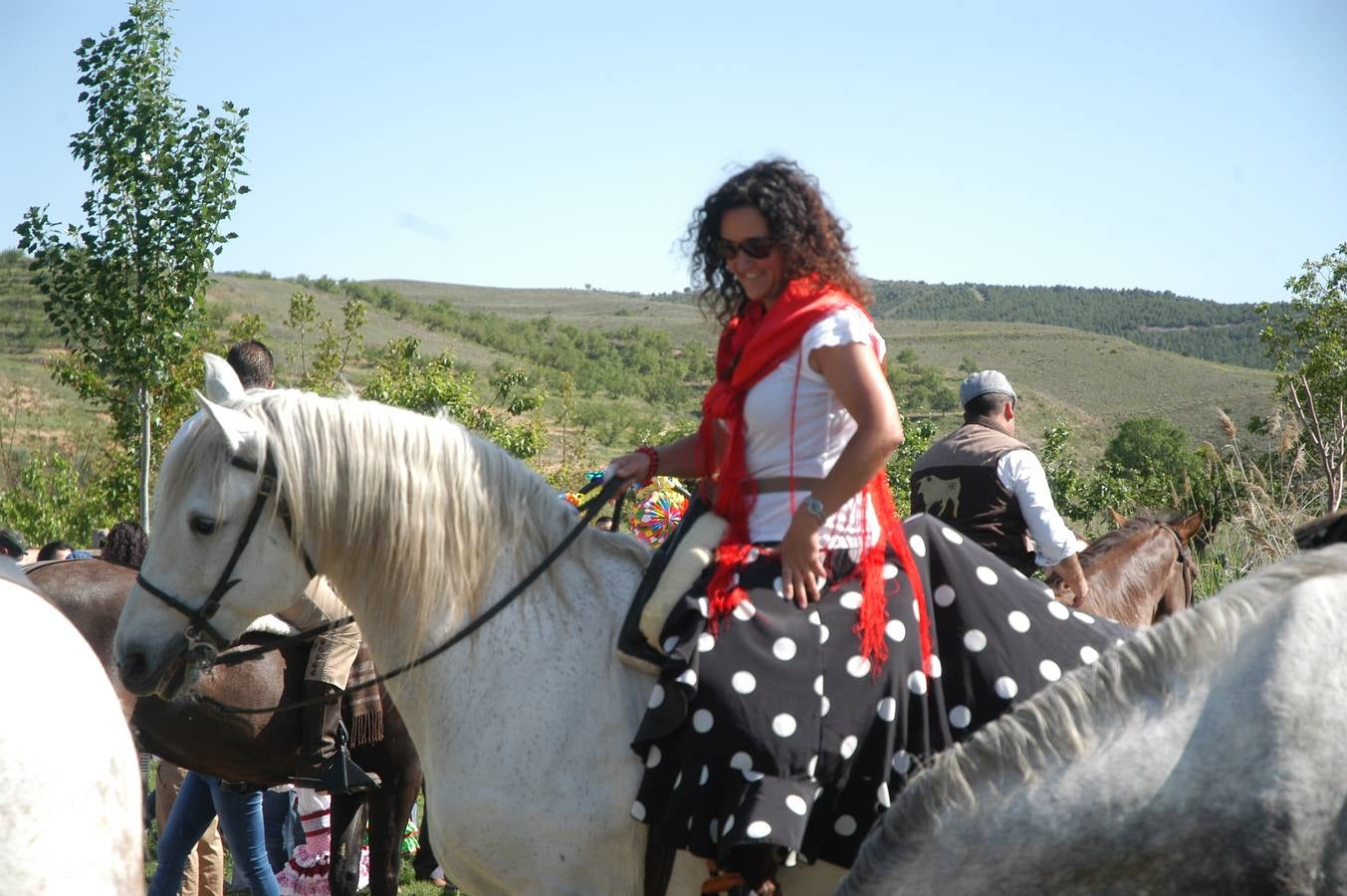 Caballos, carros y rebujito