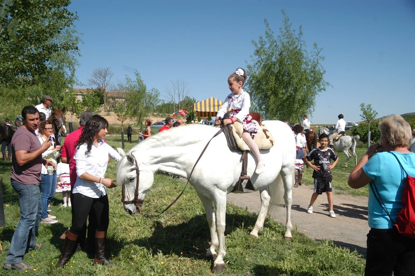 Caballos, carros y rebujito