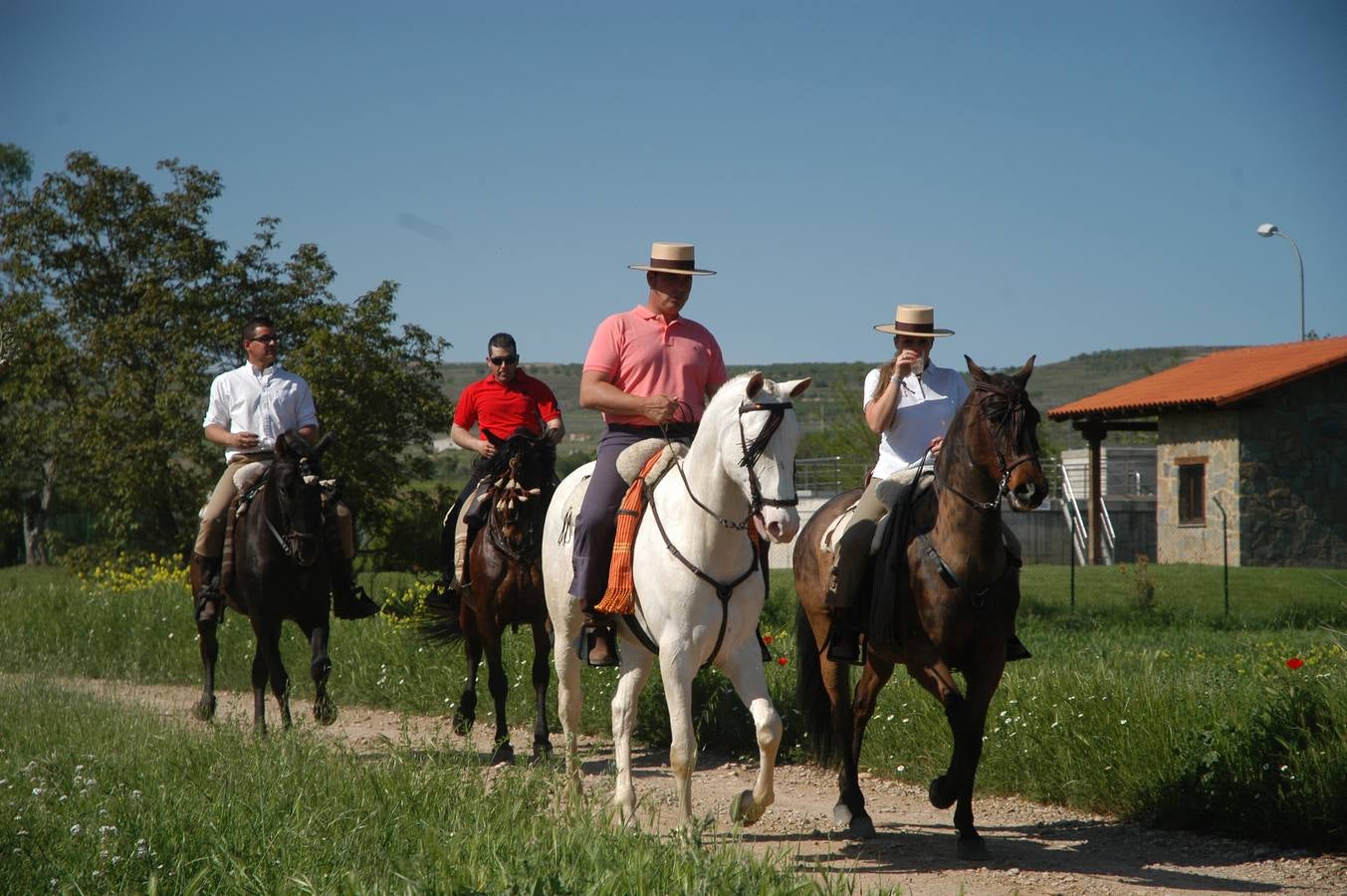 Caballos, carros y rebujito