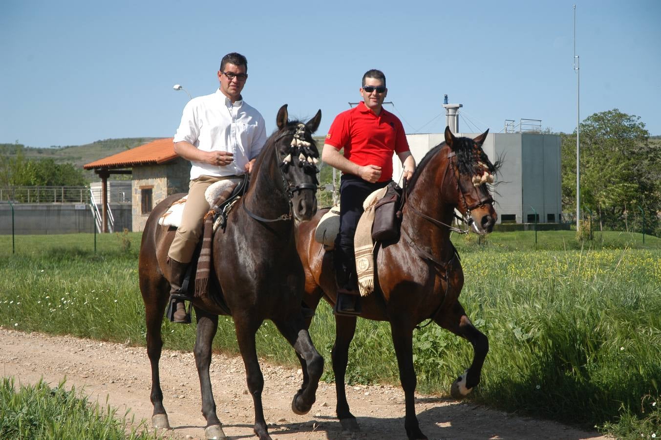 Caballos, carros y rebujito