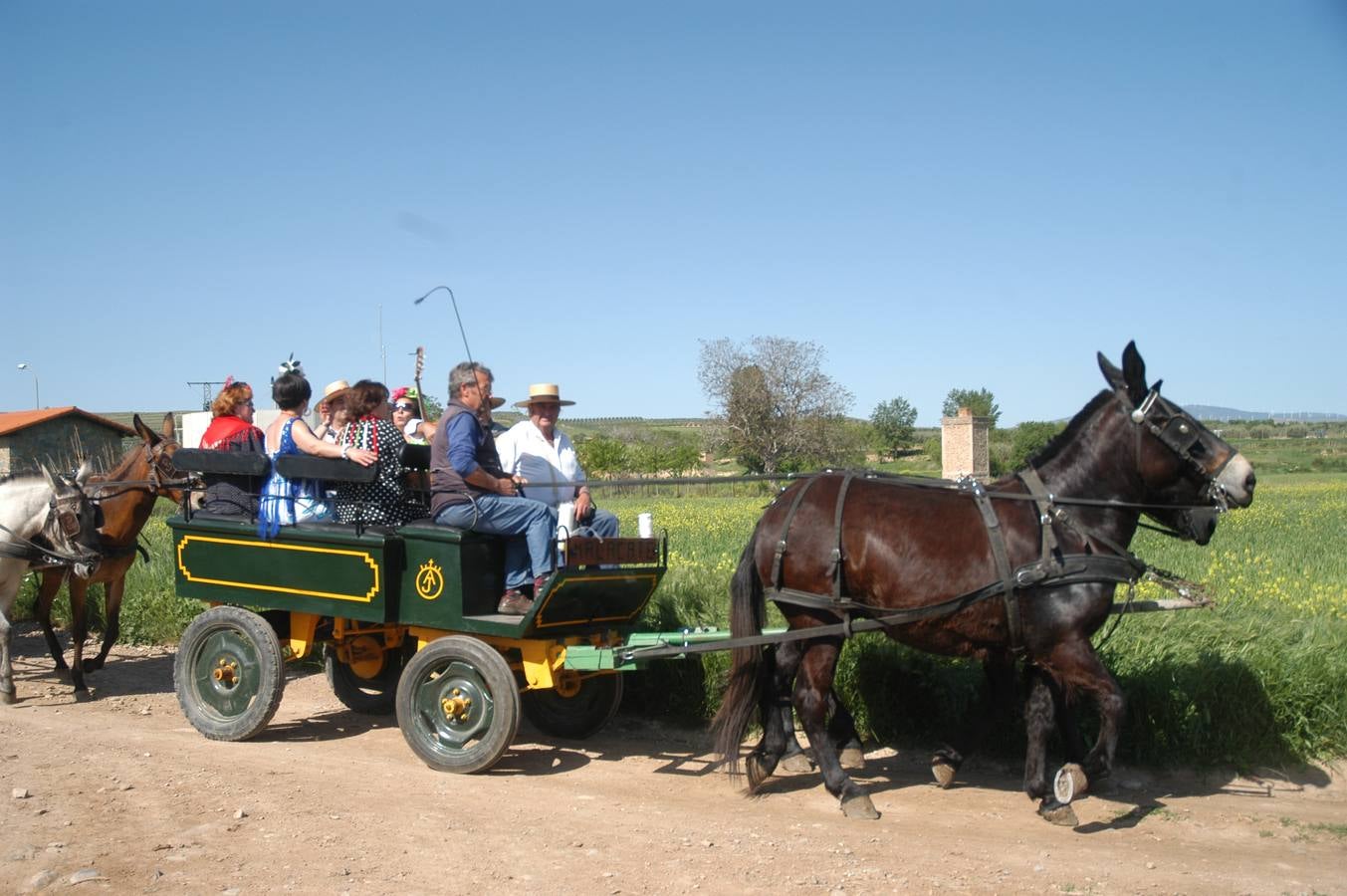 Caballos, carros y rebujito