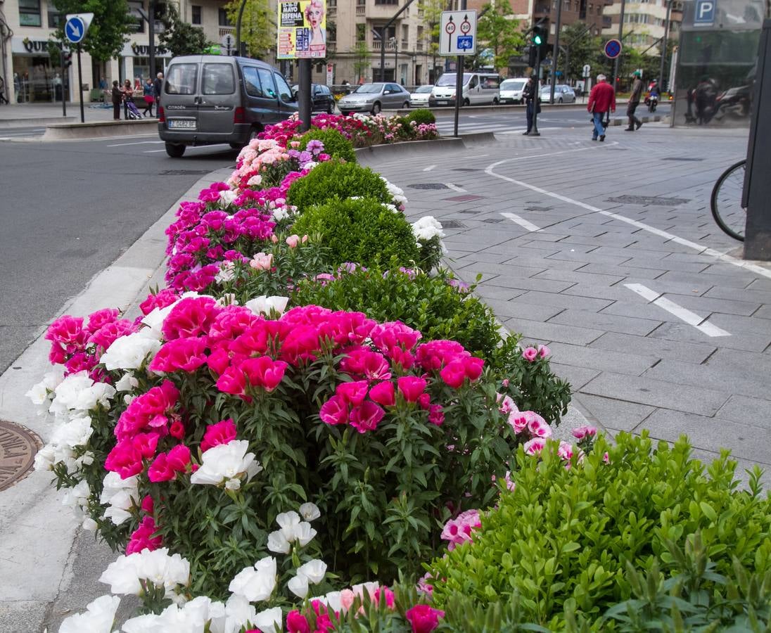 Logroño florece