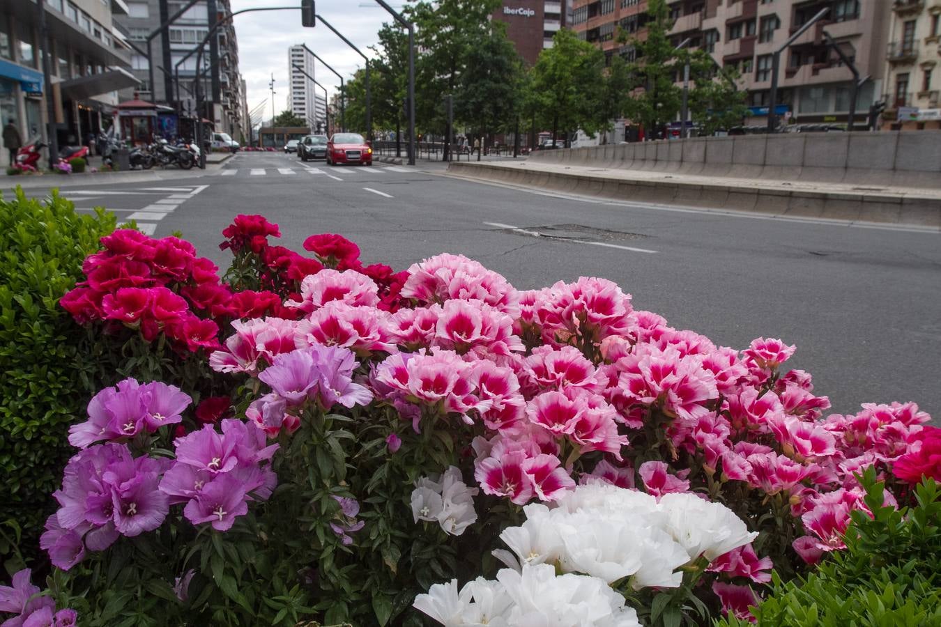 Logroño florece