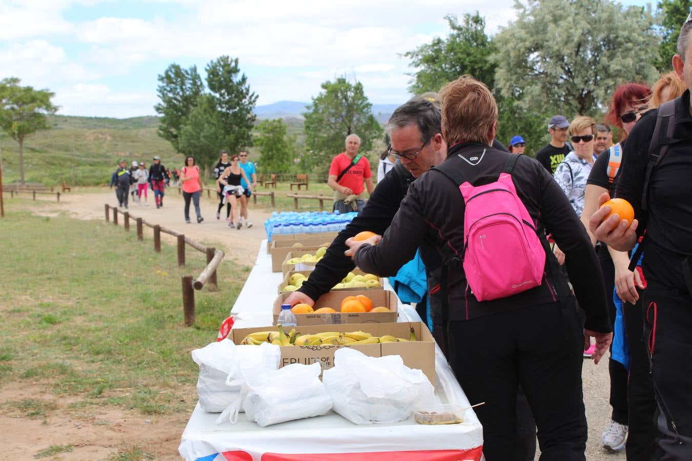 Desde Arnedillo a Calahorra en la Marcha de la Vía Verde