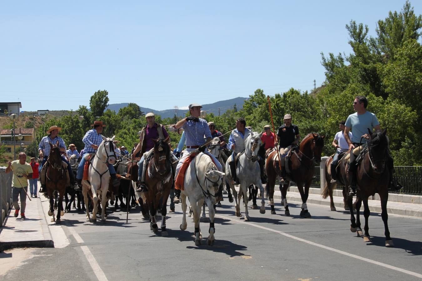 Fiesta de la trashumancia en Arnedo